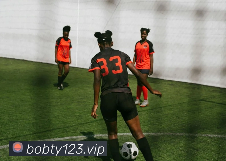 bob体育平台生态图